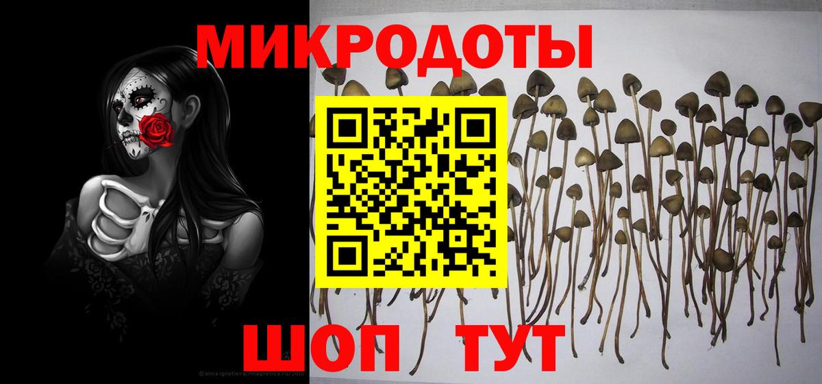 Галлюциногенные грибы GOLDEN TEACHER Шахты
