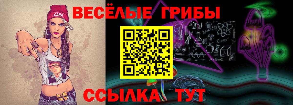 Галлюциногенные грибы мухоморы  даркнет сайт  Шахты  Вход с VPN 